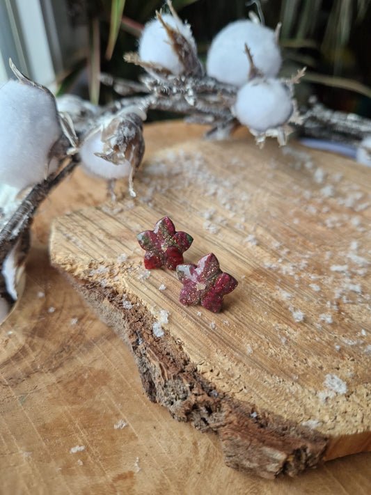 Puces "Fleurs de Noël".